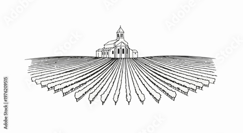 Stylized black and white illustration of church amidst vineyard rows