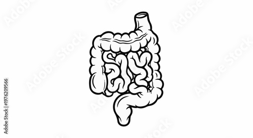 Stylized black and white illustration of human intestines