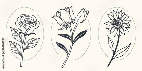 Minimalist hand drawn flower stems including a rose a closed bud a sunflower framed in delicate oval outlines for stationery design sunflower illustration botanical