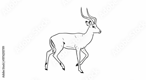 Stylized black and white line drawing of a graceful antelope with curved horns
