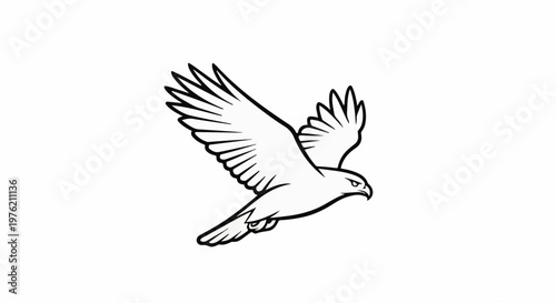 Stylized black and white outline of a bird of prey in flight