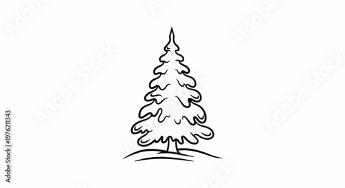 Stylized black outline drawing of a conifer tree on a white background