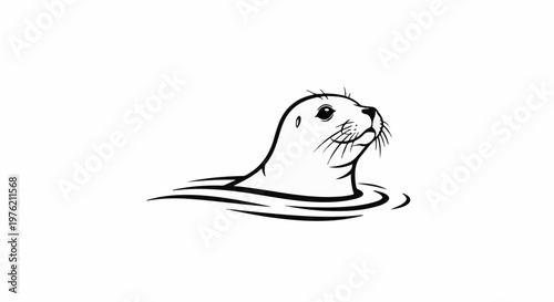 Stylized black and white illustration of a seal emerging from water