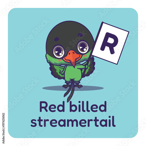 Cute red billed streamertail holding flag with letter R for fun educational purposes, illustrations