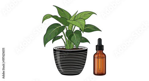 Potted green plant with leaves.