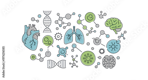 Medical Science Biology Anatomy Icons Set.