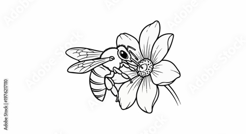 Black and white line drawing of a bee collecting nectar from a flower
