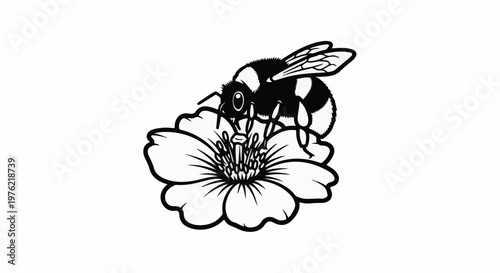Black and white drawing of a fuzzy bee collecting nectar from a flower