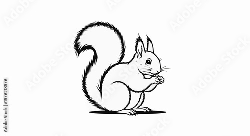 Detailed line drawing of a squirrel eating a nut