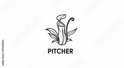 Black and white illustration of a carnivorous pitcher plant with the word "PITCHER