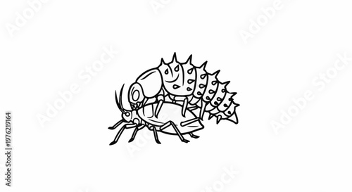 Detailed line drawing of two insects, one with a spiky segmented body, the other below it