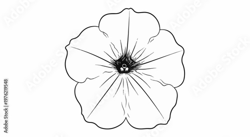 Black and white illustration of a single five-petal flower, radial symmetry