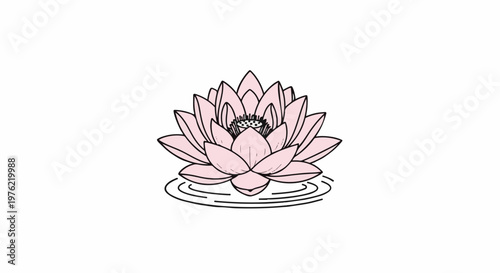 Delicate pink lotus flower floating on rippling water