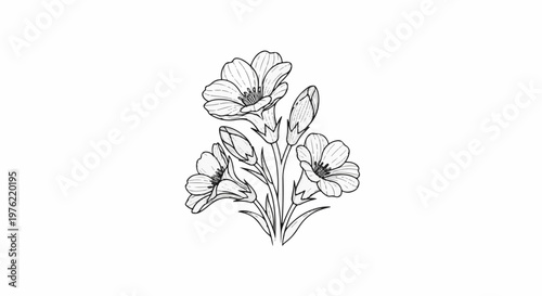 Delicate sketch of blooming flowers with buds on white background