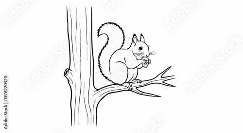 Black and white line art of a squirrel sitting on a tree branch eating a nut