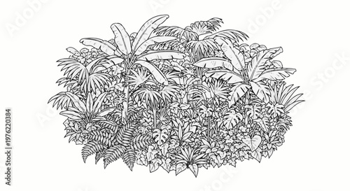 Dense lush foliage with large tropical leaves and ferns in a detailed sketch