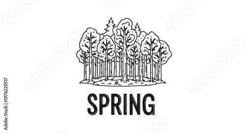 Black and white sketch of a dense forest with the word "SPRING" below