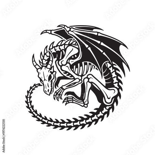 Silhouette of a coiled skeletal dragon on a Skeleton dragon Skeleton Silhouette white background skeleton curled up