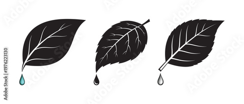 Three black leaf icons with water drops hydration freshness moisture illustration silhouette vegetation environment