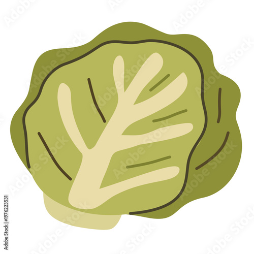Cabbage with layered leaves in flat style for healthy food illustration