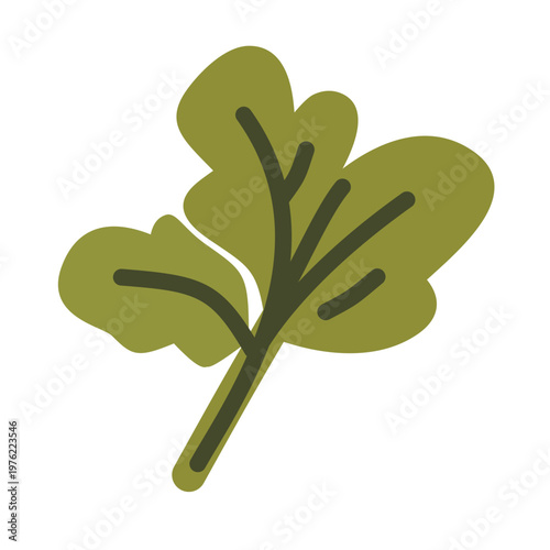 Green herbs with leafy shape in flat style for fresh food illustration