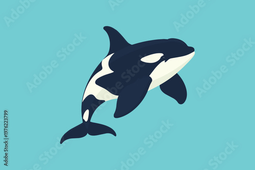 Orca in professional flat vector style, corporate illustration style