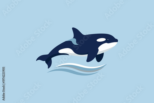 Orca in professional flat vector style, corporate illustration style