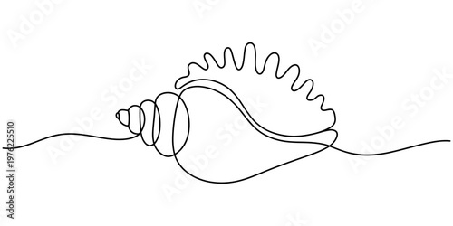 Elegant conch shell continuous line art, minimalist seashell vector illustration, single flowing black line drawing of a marine mollusk for modern design, ocean and beach themes