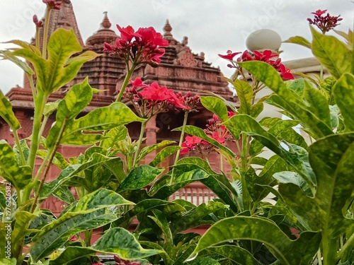 Temple Spire with Floral Contrast.