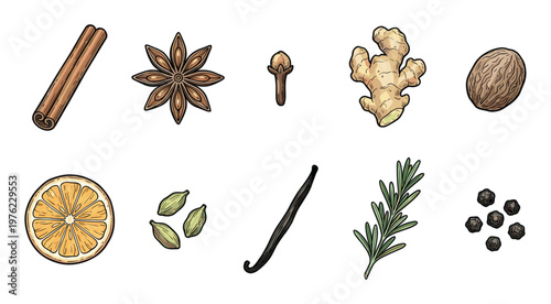 Various aromatic spices and herbs are beautifully illustrated, showcasing a diverse collection of natural flavorings for cooking and baking.