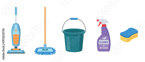 Various cleaning supplies and tools are neatly arranged to represent household chores, hygiene, and professional sanitation services.