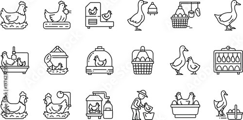 poultry, farming, icon, chicken, egg, duck, incubator, vector, set, collection, agriculture, livestock, equipment, breeding, industrial, management, basket, hen, bird, professional, monoline, line, ar