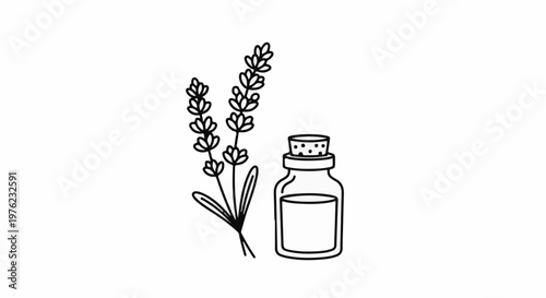 Minimalist outline of lavender sprigs next to a small bottle with cork