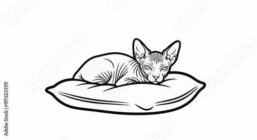 Hairless cat rests peacefully on a plush pillow, line art