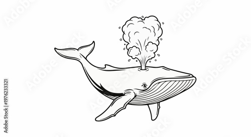 Large whale spouting water against white background
