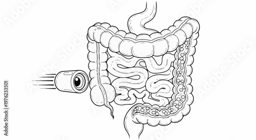 Medical capsule with camera enters the digestive system for examination