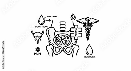 Medical icons depict pelvic anatomy, urinary issues, and health symbols