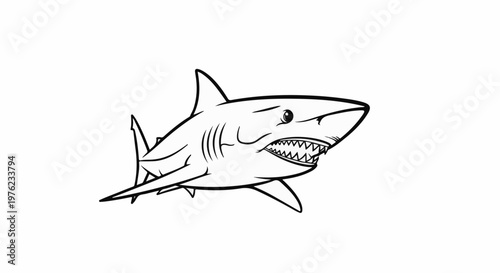 Fierce shark with sharp teeth and side fins