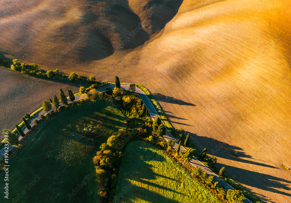 Fototapeta premium Tuscan hills with winding road and cypress trees at sunrise, Monticchiello, Italy.