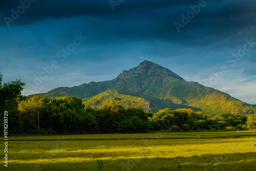 Foto arunachala hill ,Beautiful scenic view of lush green hills and agricultural field during golden hour evening light in Tiruvannamalai,Tamil Nadu, India with dramatic cloudy sky