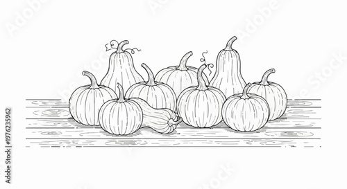Line art illustration of various gourds resting on a wooden surface