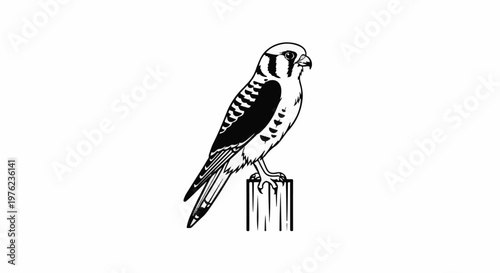 Line art of a falcon perched on a wooden post