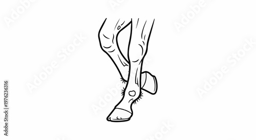 Line art of a horse's legs with spurs attached to the boots