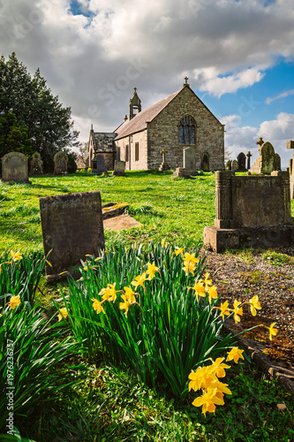 Daffodils and gravestones at St Oswald's Church, Heavenfield, a historic hilltop chapel in Northumberland, situated along Hadrian's Wall Path, at the spot where King Oswald raised a wooden cross