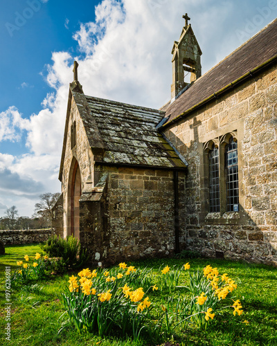 Circle of daffodils St Oswald's Church, Heavenfield, a historic hilltop chapel in Northumberland, situated along Hadrian's Wall Path, at the spot where King Oswald is said to have raised a wooden cros