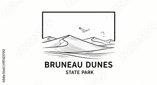 Line art of desert dunes with a bird soaring above and text below