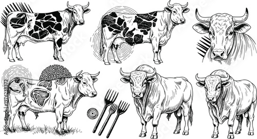 Vintage Hand-Drawn Cow and Bull Set with Detailed Fur Patterns, Forks, and Farm Elements in Black and WhiteVintage Hand-Drawn Cow and Bull Set with Detailed Fur Patterns, Forks, and Farm Elements in B