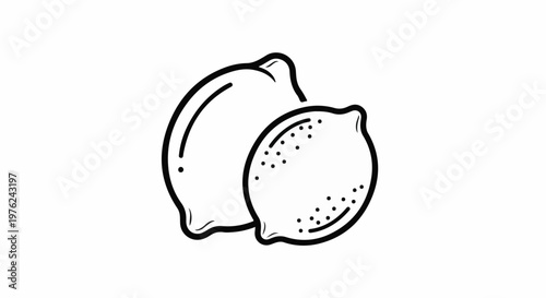 Stylized outline drawing of two lemons against a white background