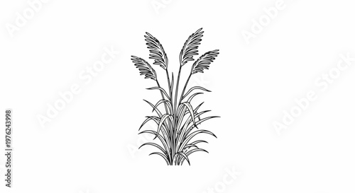 Stylized line art of a clump of tall grass with feathery plumes