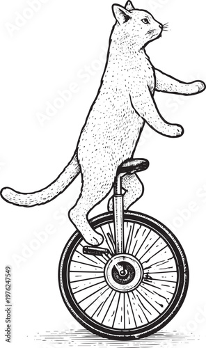 Cat Riding Unicycle Vintage Engraving Circus Illustration